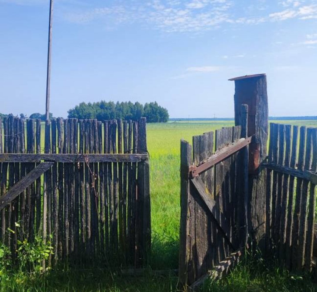 Жилые, с печкой, до 5 тысяч долларов. Смотрим пригодные под дачу дома в  деревнях — последние Новости на Realt